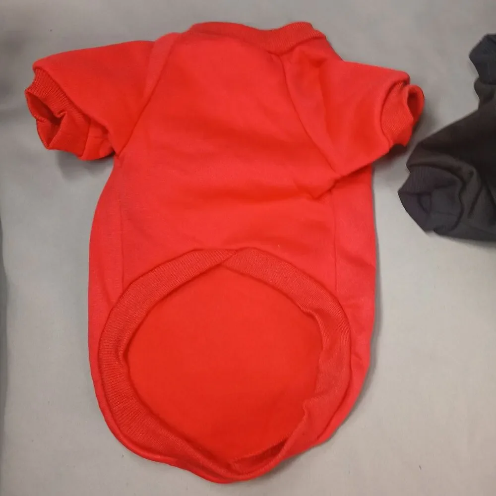 Unbranded small dog